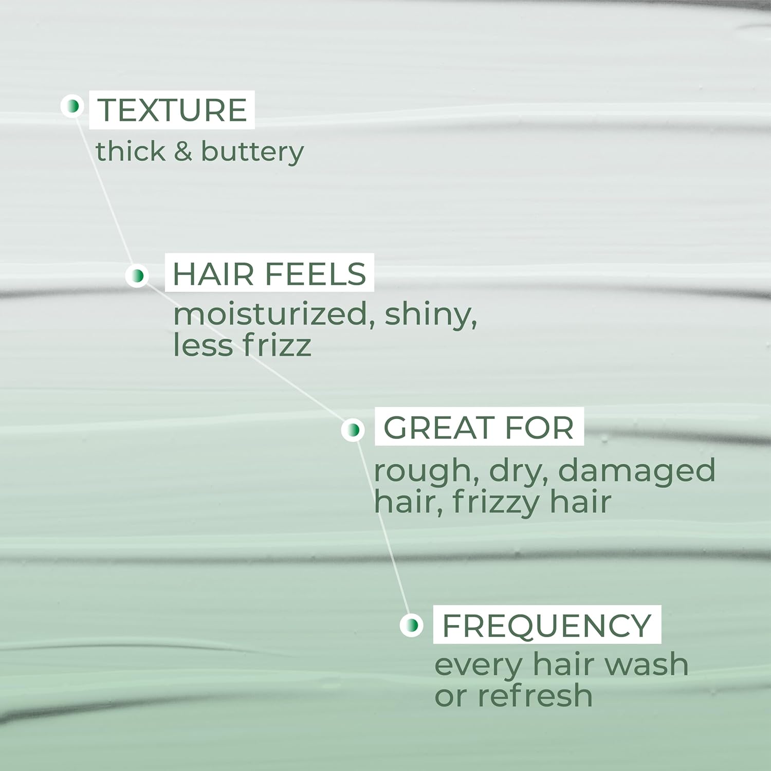 Ashba Botanics Leave-in Conditioner for Frizzy - Image 6
