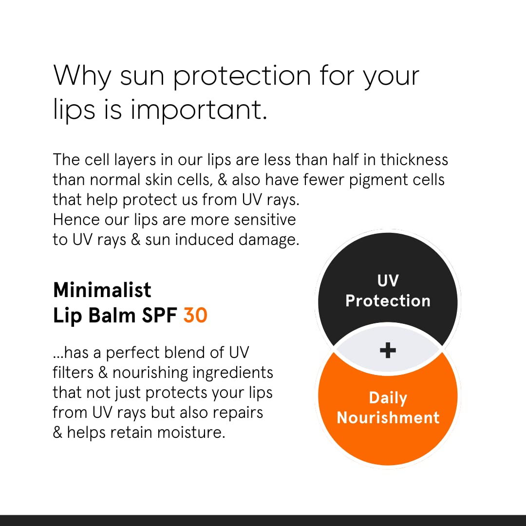 Minimalist Spf 30 Lip Balm With Ceramides & Hyaluronic Acid | Lip Protection & Nourishment - Image 5