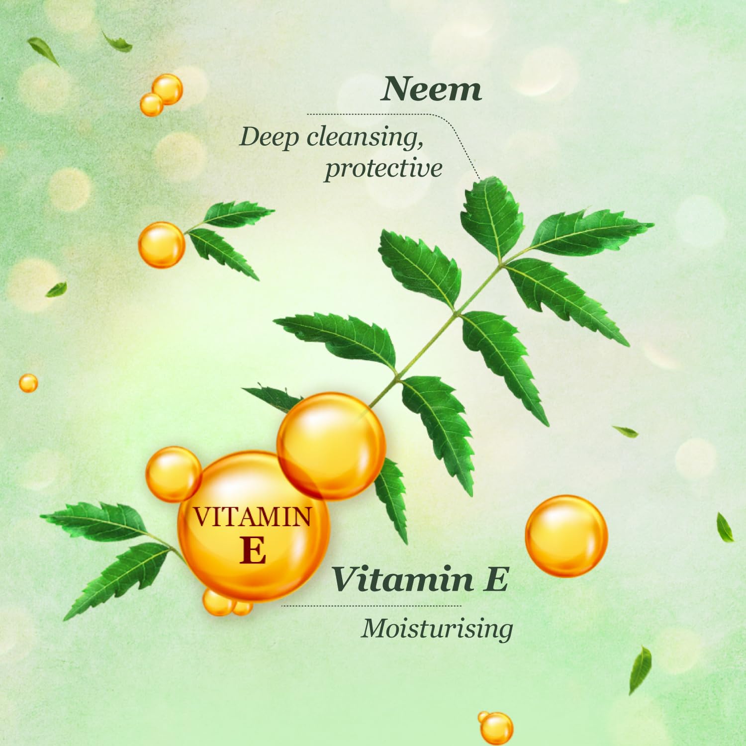 Margo Original Neem Soap 125gm X 8 | Powered With Goodness of 1000 Natural Neem Leaves | - Image 4