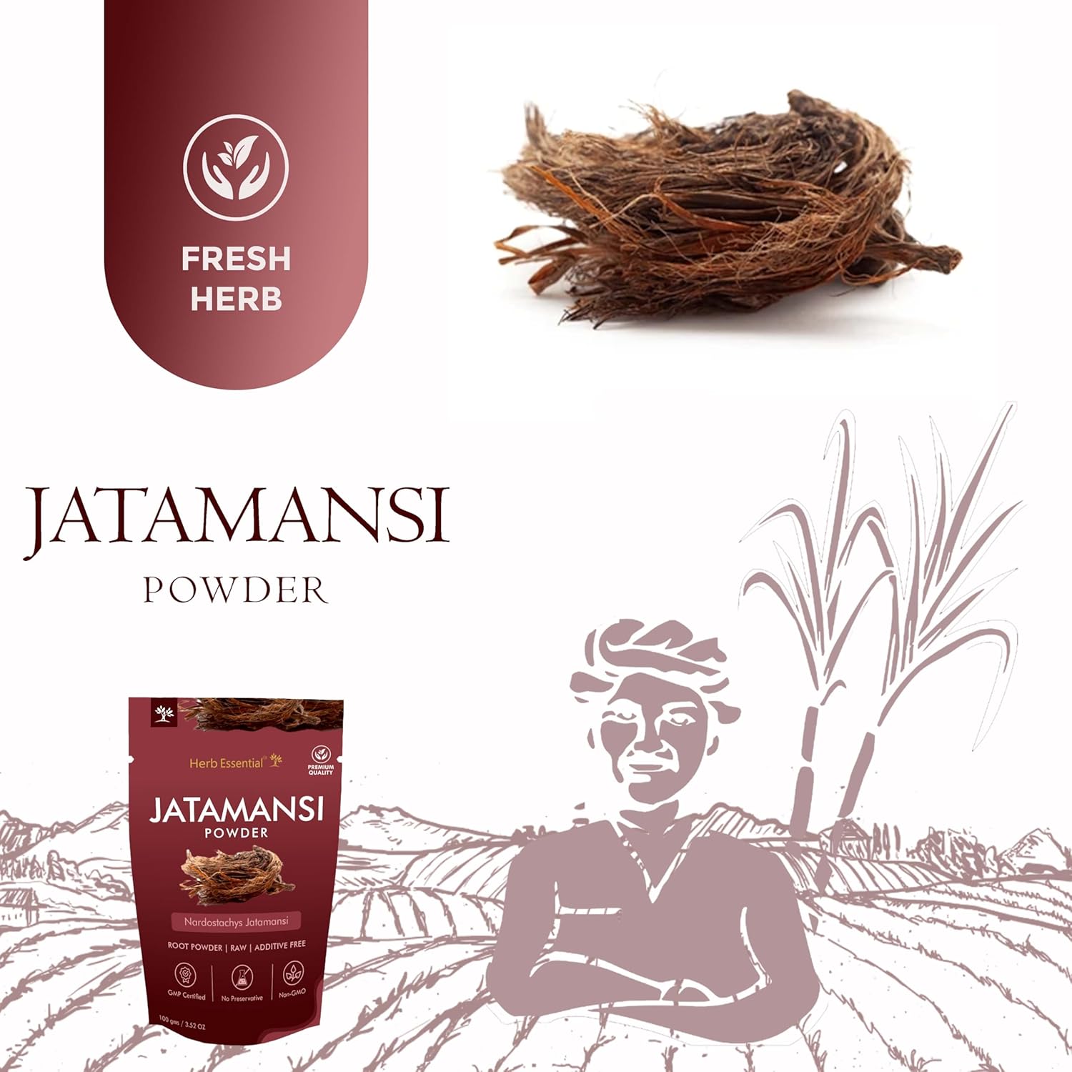 Herb Essential Jatamansi Root Powder,100 g | For Strong, Shiny, and Silky Hair - Image 5