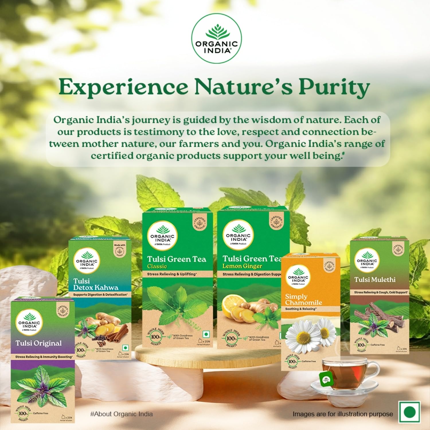 A TATA Product - Organic India Tulsi Green Tea Classic - 25 Tea Bags - Image 4