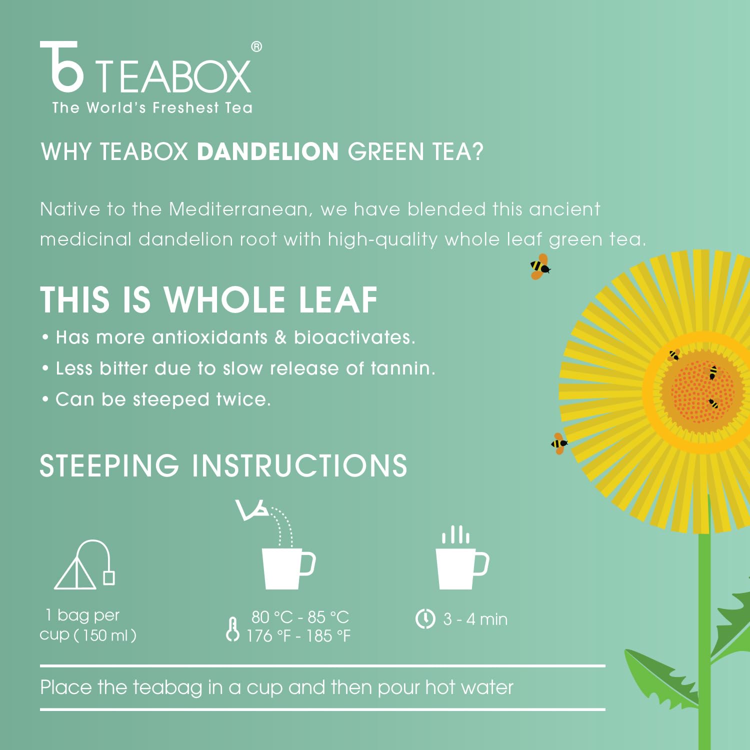 Teabox Premium Green Tea With Dandelion Roots | Whole Leaf & 0% Bitterness 25 Tea Bags (Low Caffeine) - Image 6