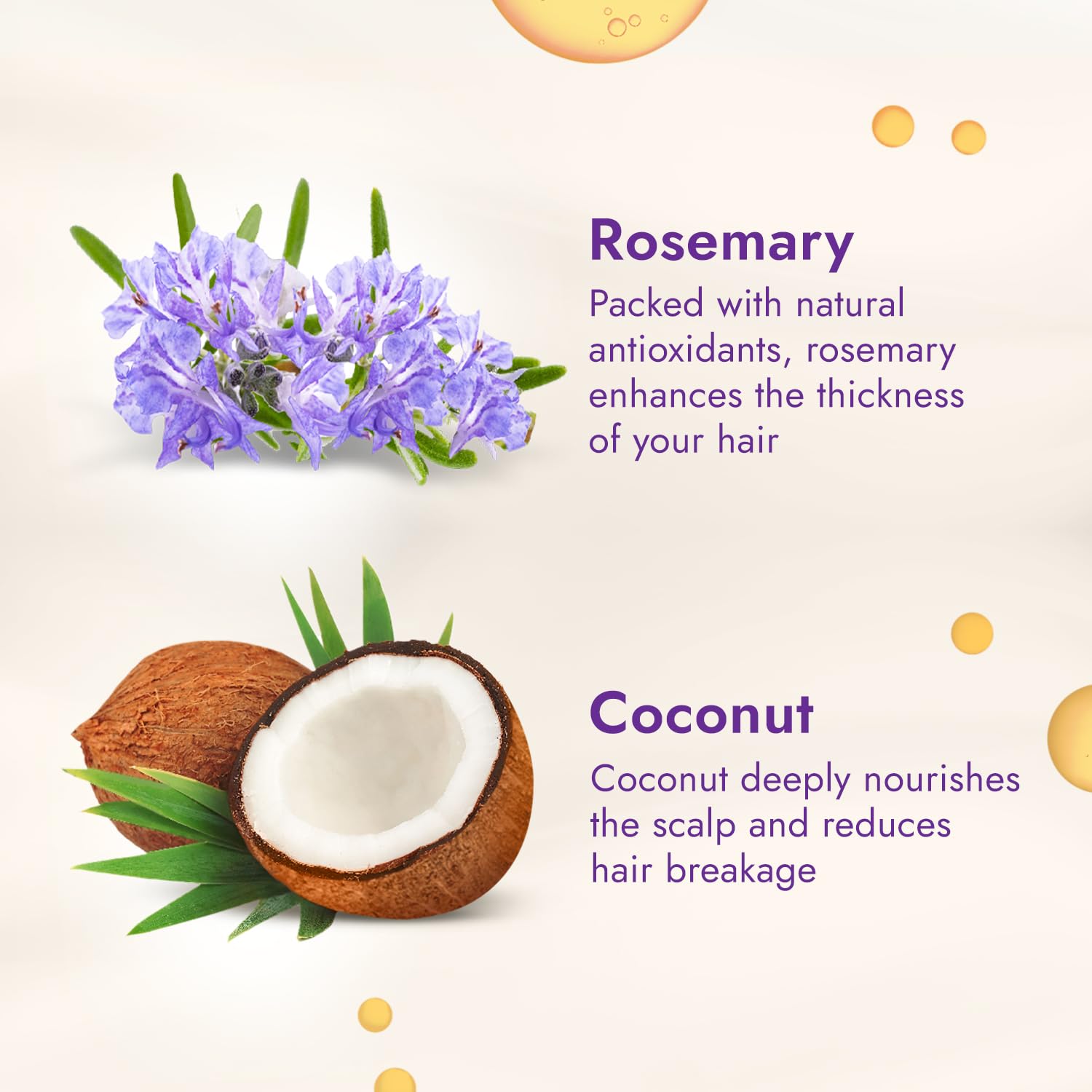 Parachute Advansed Rosemary-enriched Coconut Hair Oil - 300 ML - Image 3