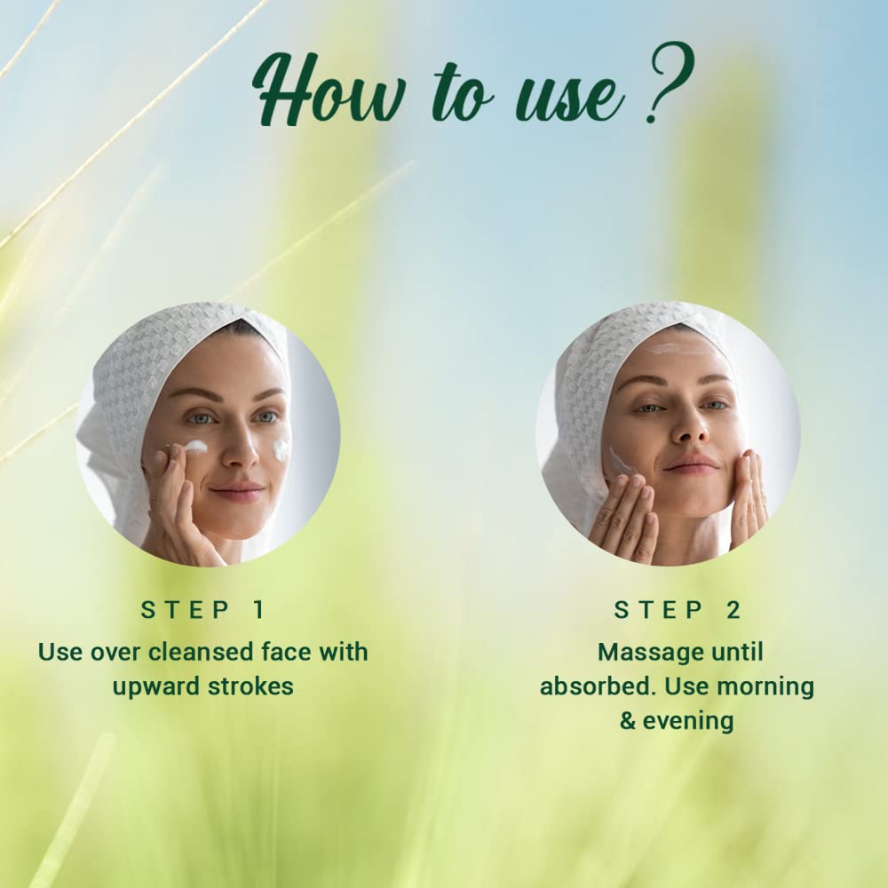 Biotique Wheat Germ Anti- Ageing Night Cream | Reduces Fine Lines | Lightens dark Spots | 100% Botanical Extracts | Suitable for All Skin Types | 50g - Image 4