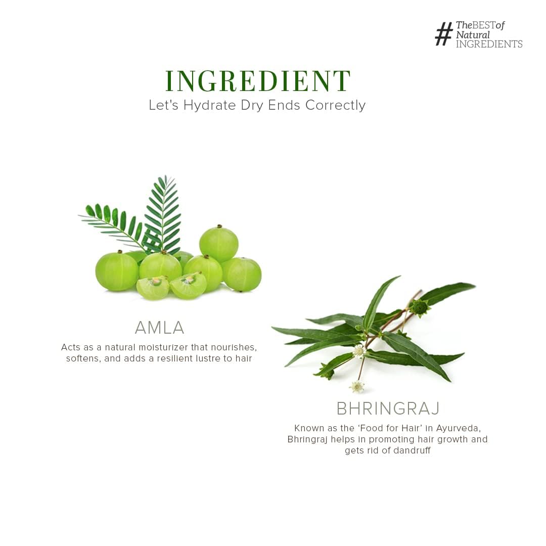 Khadi Natural Amla & Bhringraj Hair Shampoo | Hair Cleanser with Natural Ingredients | Anti-Dandruff Shampoo | Anti-Hair Fall Shampoo | Shampoo for Nourishing Hair| Suitable for All Hair Types, 210 ml (Pack of 2) - Image 5