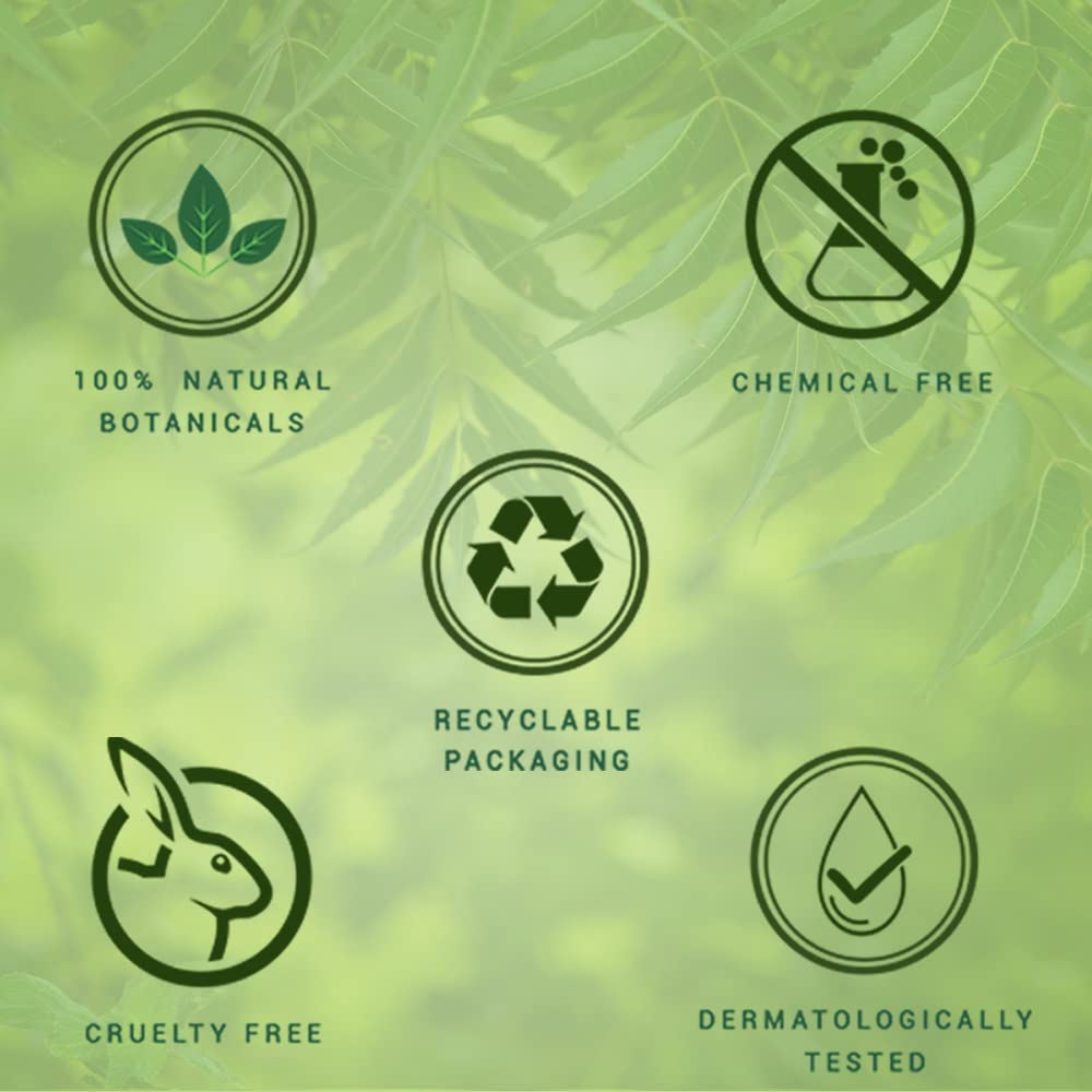 Biotique Fresh Neem Anti Dandruff Shampoo and Conditioner | Controls Dandruff | Eliminates Dryness, Flaking, and Itching | Hair Looks Fresh and Lustrous |Suitable for All Skin Types | 190ml - Image 6